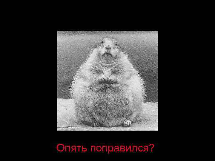 Опять поправился? 