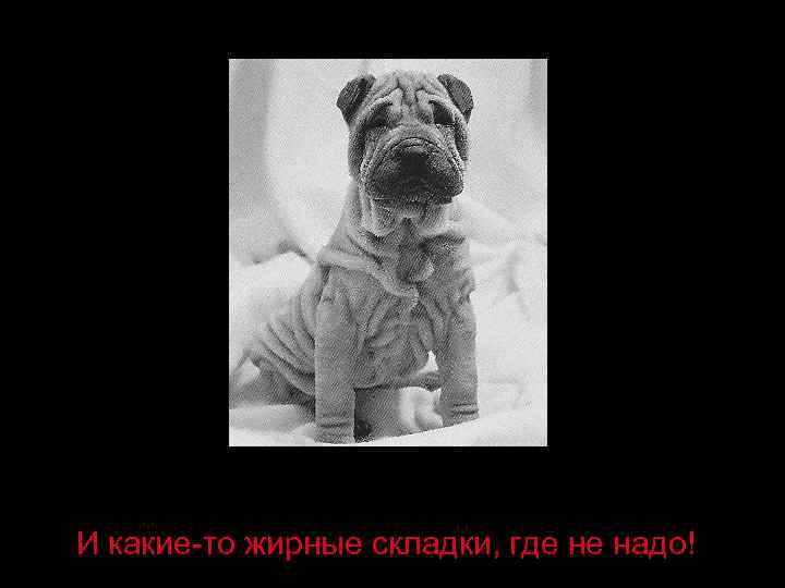 И какие-то жирные складки, где не надо! 