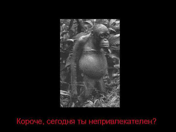 Короче, сегодня ты непривлекателен? 