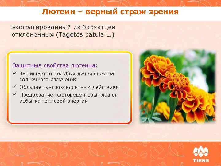 Лютеин – верный страж зрения экстрагированный из бархатцев отклоненных (Tagetes patula L. ) Защитные