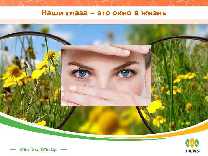 Наши глаза – это окно в жизнь 