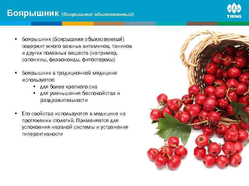 Боярышник (боярышникon human body ZINC and its influence обыкновенный) • Боярышник (Боярышник обыкновенный) содержит