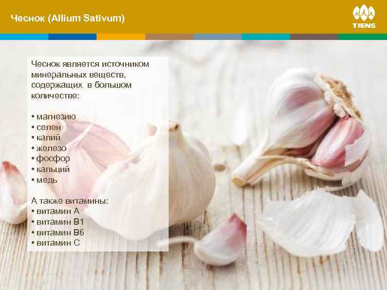 Чеснок and its. Sativum) ZINC (Allium influence on human body Чеснок является источником минеральных