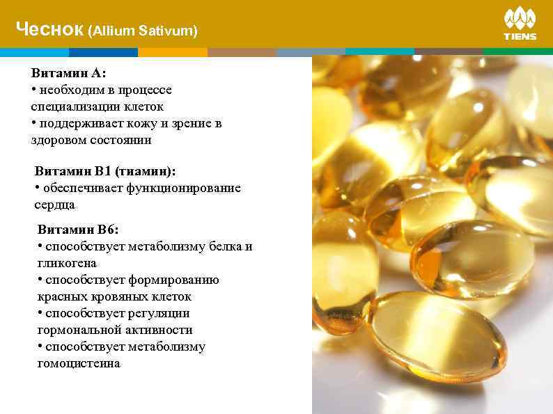 Чеснок (Allium Sativum) on human body ZINC and its influence Витамин А: • необходим