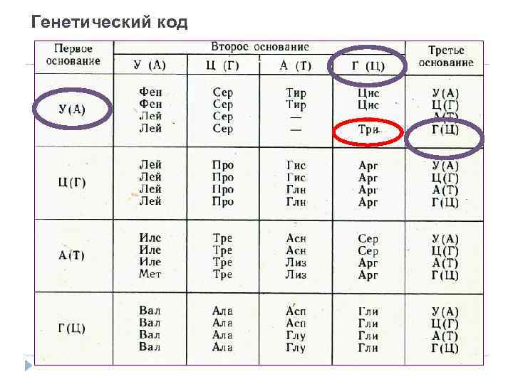 Генетический код и его свойства