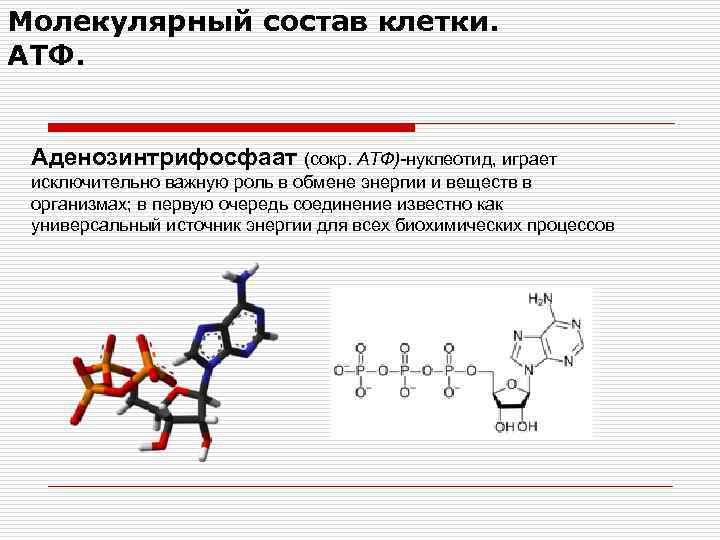 Формула клетки