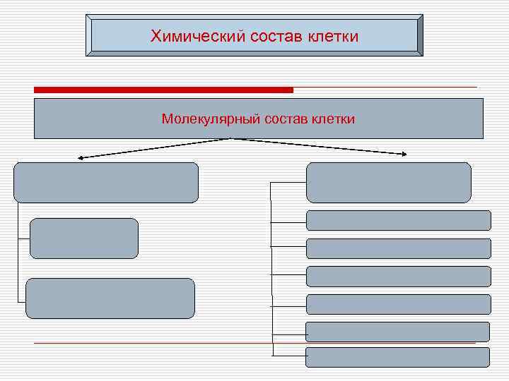Химический состав клетки Молекулярный состав клетки 