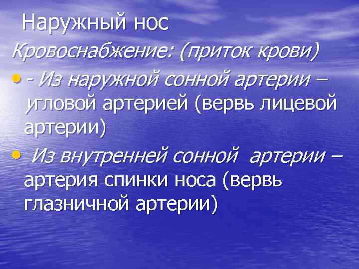 Наружный нос Кровоснабжение: (приток крови) • - Из наружной сонной артерии – угловой артерией