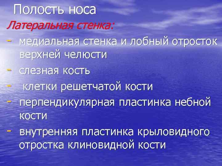 Полость носа Латеральная стенка: - медиальная стенка и лобный отросток - верхней челюсти слезная