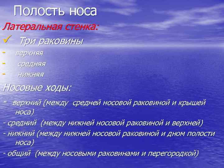 Полость носа Латеральная стенка: ü Три раковины - верхняя - средняя - нижняя Носовые