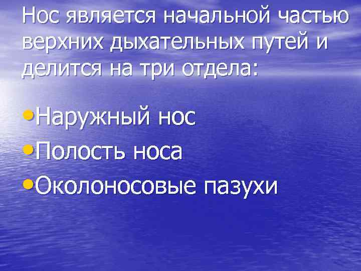 Нос является начальной частью верхних дыхательных путей и делится на три отдела: • Наружный