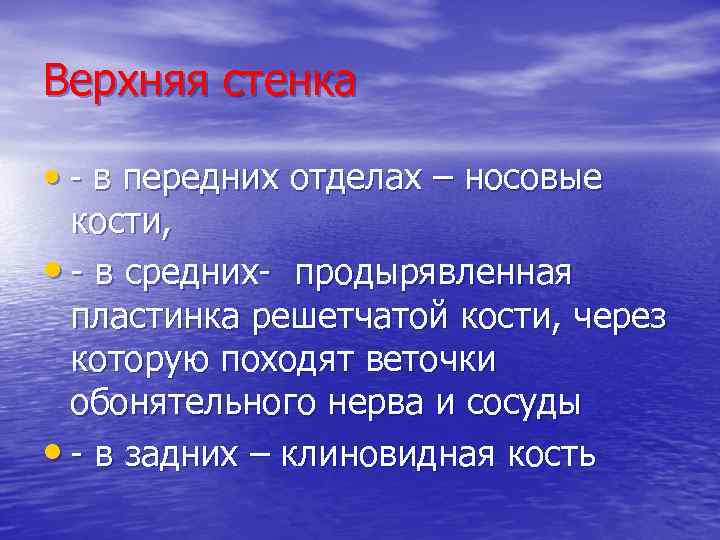 Верхняя стенка • - в передних отделах – носовые кости, • - в средних-