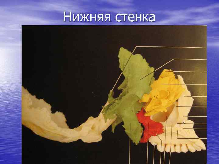 Нижняя стенка 