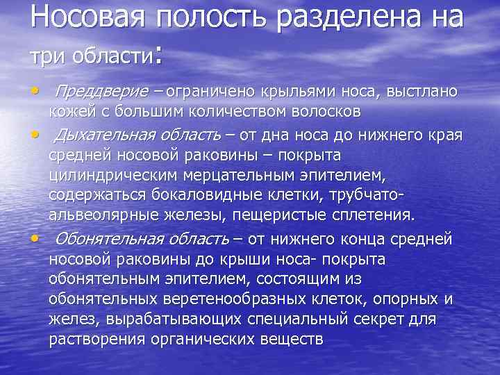 Носовая полость разделена на три области: • Преддверие – ограничено крыльями носа, выстлано •