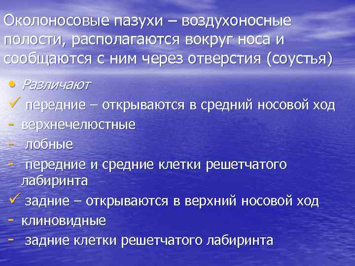 Околоносовые пазухи – воздухоносные полости, располагаются вокруг носа и сообщаются с ним через отверстия