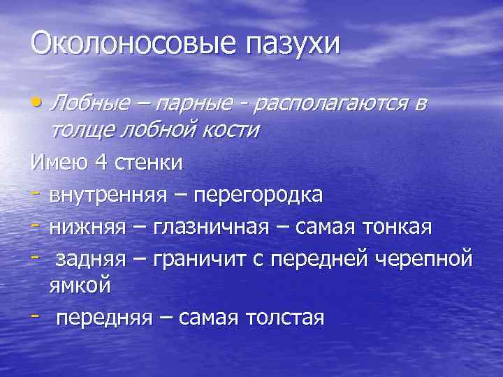 Околоносовые пазухи • Лобные – парные - располагаются в толще лобной кости Имею 4