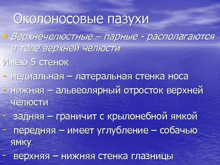 Околоносовые пазухи • Верхнечелюстные – парные - располагаются в теле верхней челюсти Имею 5