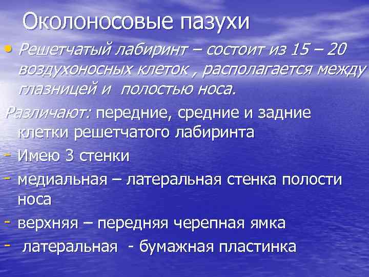 Околоносовые пазухи • Решетчатый лабиринт – состоит из 15 – 20 воздухоносных клеток ,