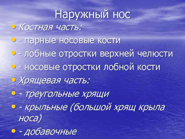 Наружный нос • Костная часть: • - парные носовые кости • - лобные отростки