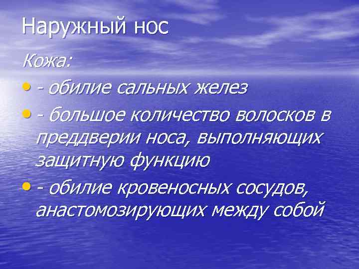 Наружный нос Кожа: • - обилие сальных желез • - большое количество волосков в