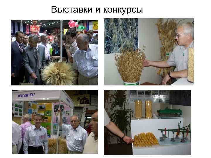 Выставки и конкурсы 