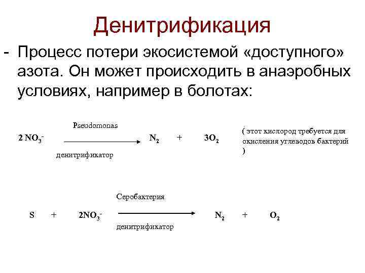 Денитрификация - Процесс потери экосистемой «доступного» азота. Он может происходить в анаэробных условиях, например