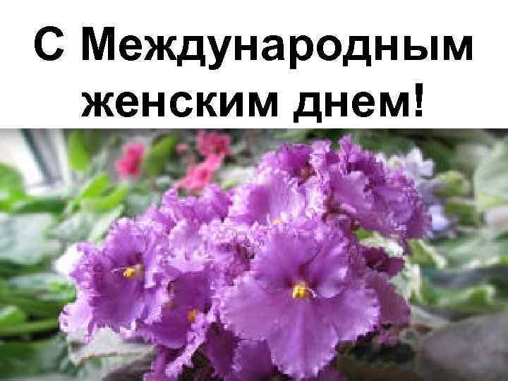 С Международным женским днем! 
