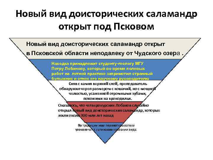 Новый вид доисторических саламандр открыт под Псковом Новый вид доисторических саламандр открыт в Псковской