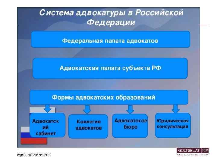 Page 3 © Goltsblat BLP 