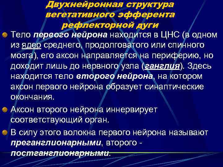 Двухнейронная структура вегетативного эфферента рефлекторной дуги Тело первого нейрона находится в ЦНС (в одном