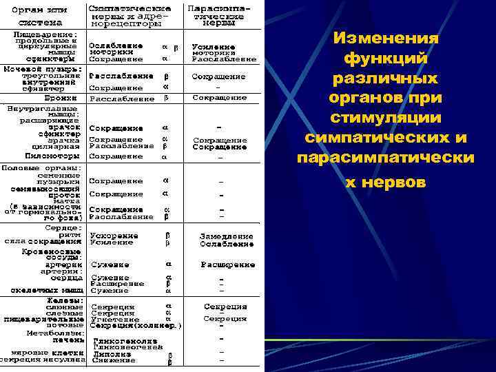 Изменения функций различных органов при стимуляции симпатических и парасимпатически х нервов 