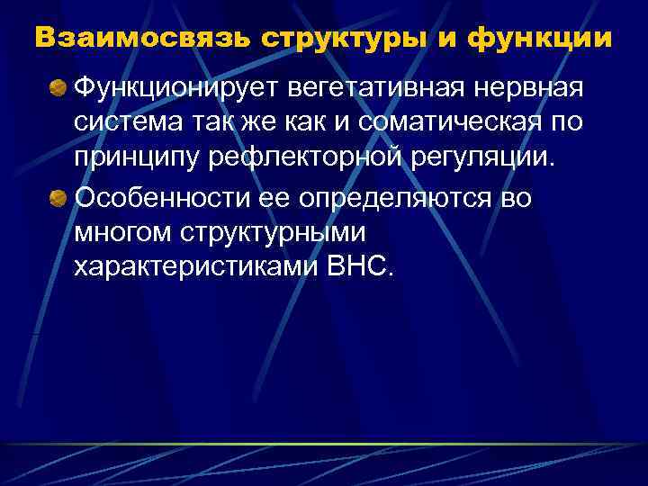 Взаимосвязь структуры и функции Функционирует вегетативная нервная система так же как и соматическая по