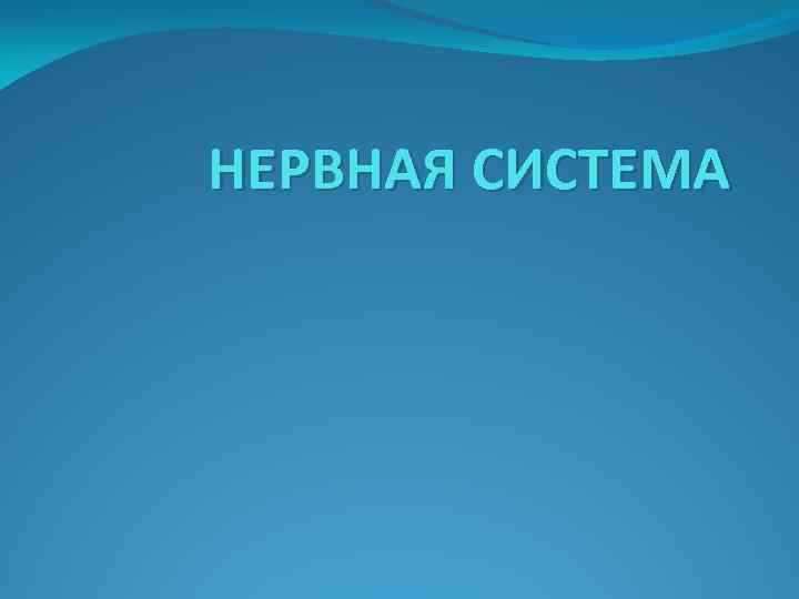 НЕРВНАЯ СИСТЕМА 