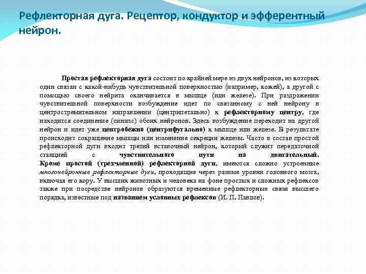 Рефлекторная дуга. Рецептор, кондуктор и эфферентный нейрон. Простая рефлекторная дуга состоит по крайней мере