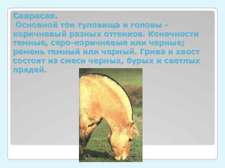 Саврасая. Основной тон туловища и головы коричневый разных оттенков. Конечности темные, серо-коричневые или черные;