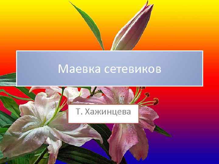 Маевка сетевиков Т. Хажинцева 