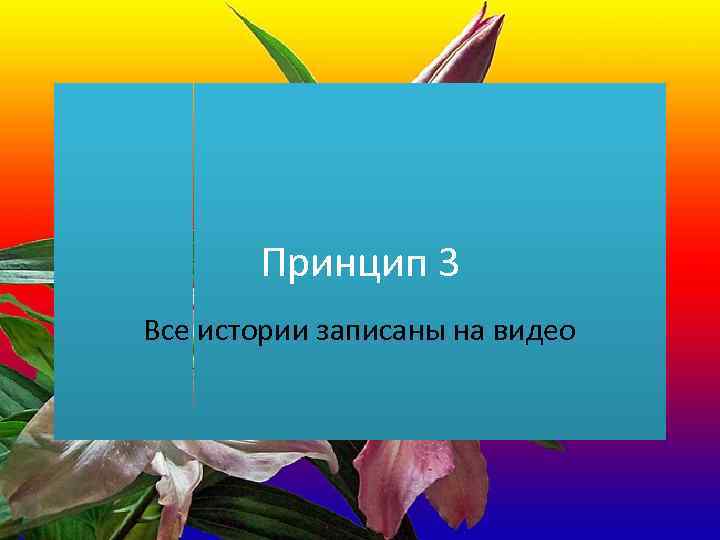 Принцип 3 Все истории записаны на видео 