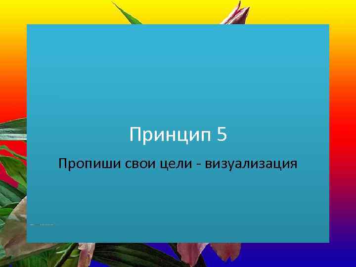 Принцип 5 Пропиши свои цели - визуализация 