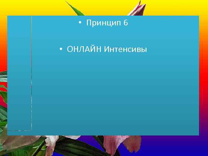  • Принцип 6 • ОНЛАЙН Интенсивы 