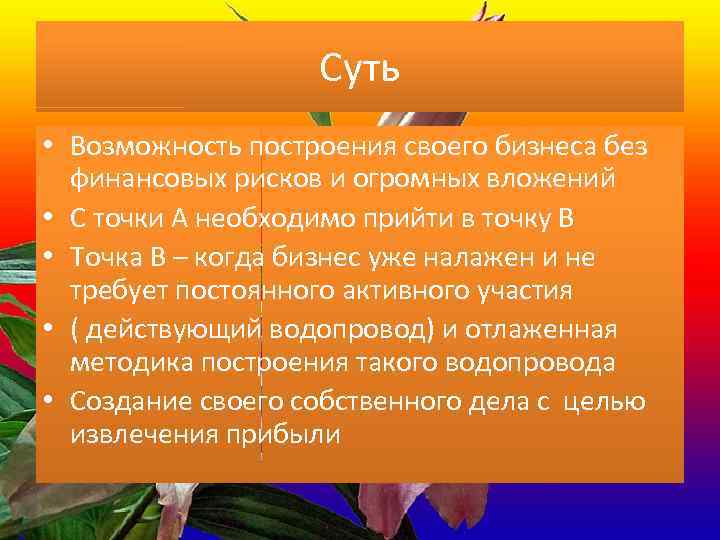 Суть • Возможность построения своего бизнеса без финансовых рисков и огромных вложений • С