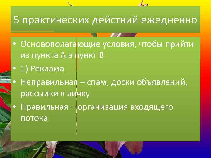 5 практических действий ежедневно • Основополагающие условия, чтобы прийти из пункта А в пункт