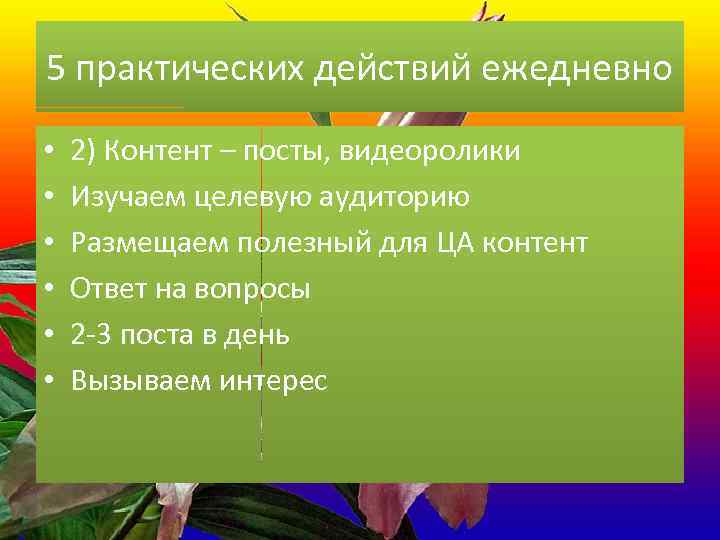 5 практических действий ежедневно • • • 2) Контент – посты, видеоролики Изучаем целевую