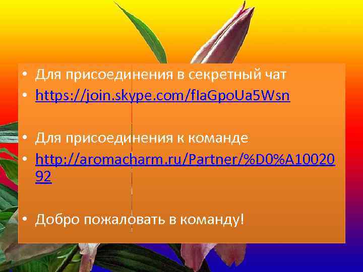  • Для присоединения в секретный чат • https: //join. skype. com/f. Ia. Gpo.