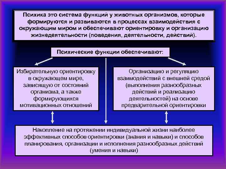 Психика это система функций у животных организмов, которые формируются и развиваются в процессах взаимодействия