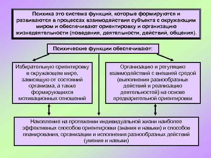 Психика это система функций, которые формируются и развиваются в процессах взаимодействия субъекта с окружающим
