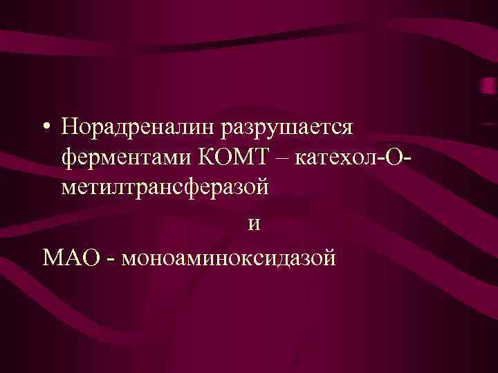  • Норадреналин разрушается ферментами КОМТ – катехол-Ометилтрансферазой и МАО - моноаминоксидазой 