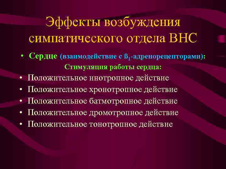 Эффекты возбуждения симпатического отдела ВНС • Сердце (взаимодействие с ß 1 -адренорецепторами): Стимуляция работы