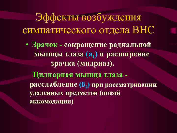 Эффекты возбуждения симпатического отдела ВНС • Зрачок - сокращение радиальной мышцы глаза (а 1)