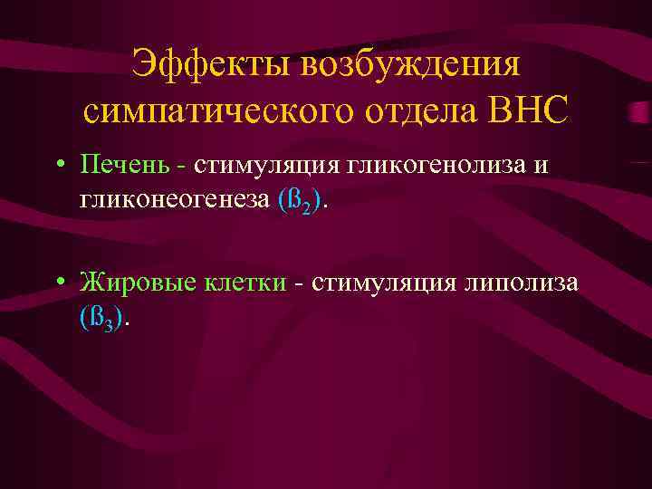 Эффекты возбуждения симпатического отдела ВНС • Печень - стимуляция гликогенолиза и гликонеогенеза (ß 2).