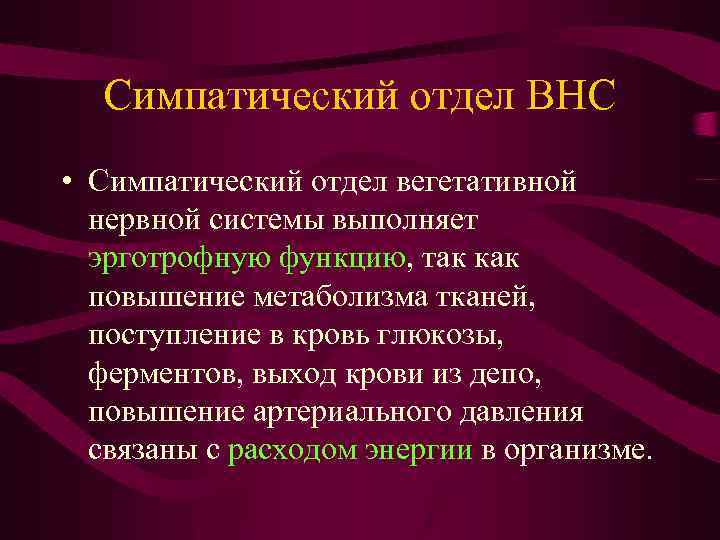 Симпатический отдел ВНС • Симпатический отдел вегетативной нервной системы выполняет эрготрофную функцию, так как